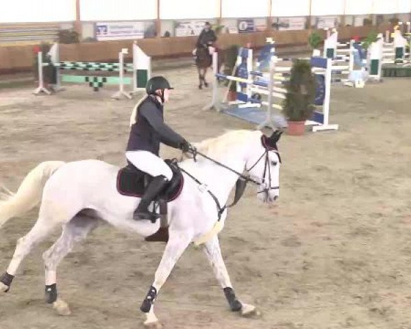 Late Entry Springen Dettingen 2015