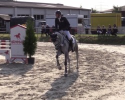 jumper Ballerina NRW (Westphalian, 2015, from Balous Diamond)