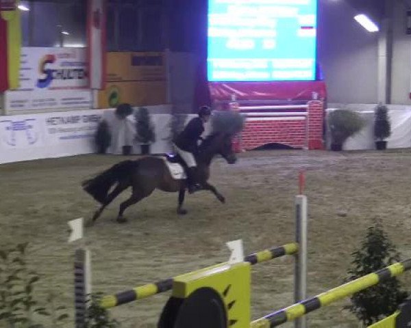 Hallenspringturnier in Borken 2015