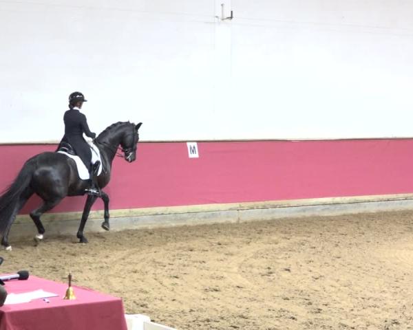 Torneo Ecuestre München-Riem/Obb. 2026