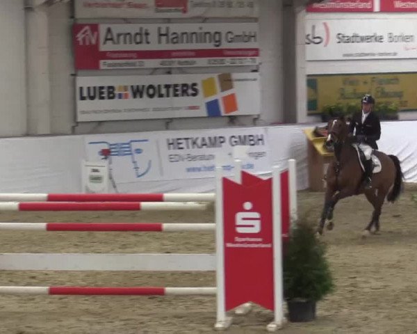 Hallenspringturnier in Borken 2015