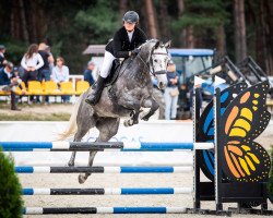 jumper Cordavelle EM (Westphalian, 2016, from Cordess 2)