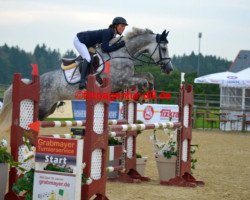broodmare Candela 52 (Holsteiner, 2009, from Calido I)