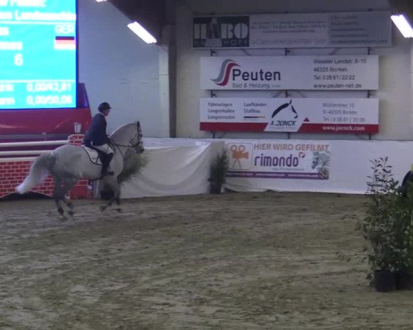 Hallenspringturnier in Borken 2015