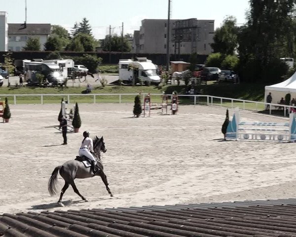 Pferdesporttage Bülach 2021