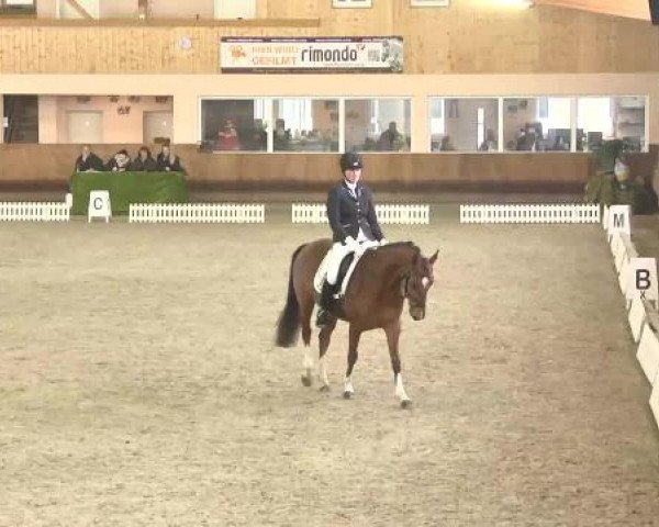 Late Entry Dressur Dettingen 2015