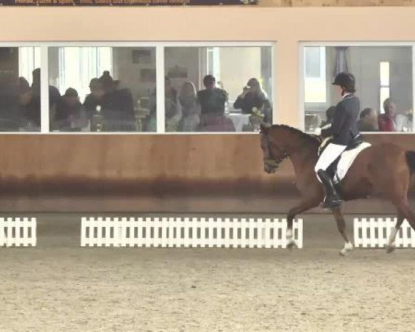 Late Entry Dressur Dettingen 2015