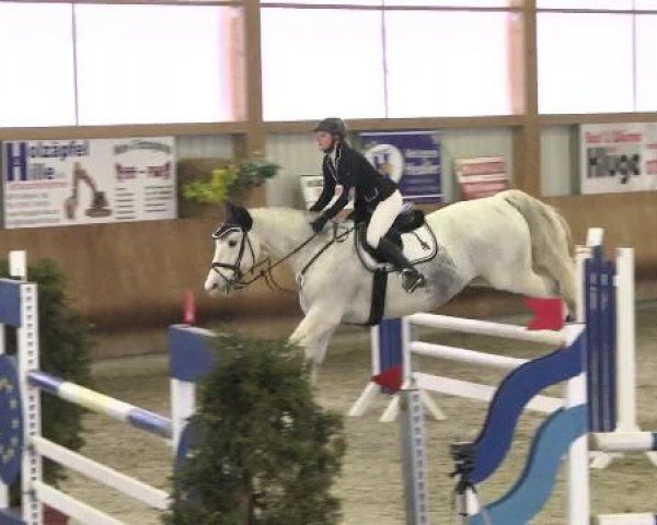 Late Entry Springen Dettingen 2015
