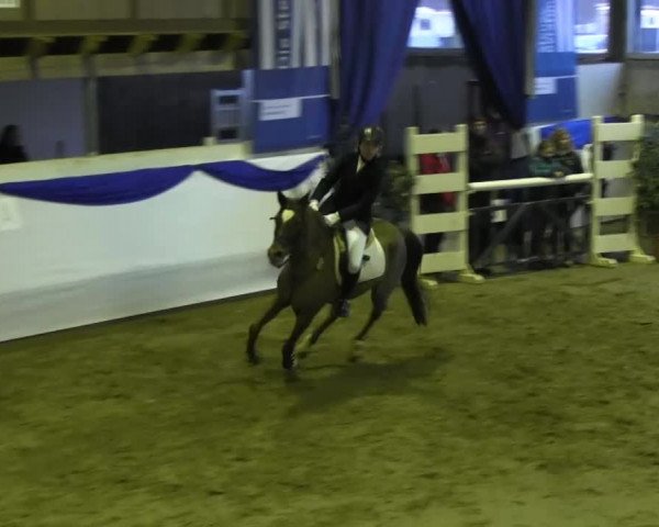 Hallenspringturnier in Münster - Albachten 2015
