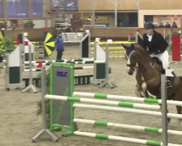 Late Entry Springen Dettingen 2015