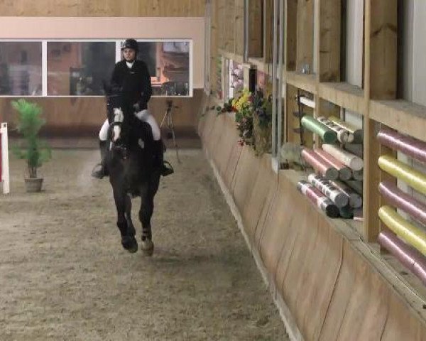 Late Entry Springen Dettingen 2015