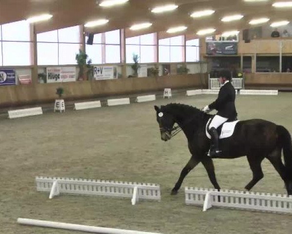 Late Entry Dressur Dettingen 2015