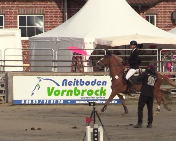 Torneio Equestre Werne-Lenklar 2026
