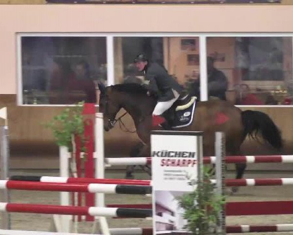 Late Entry Springen Dettingen 2015