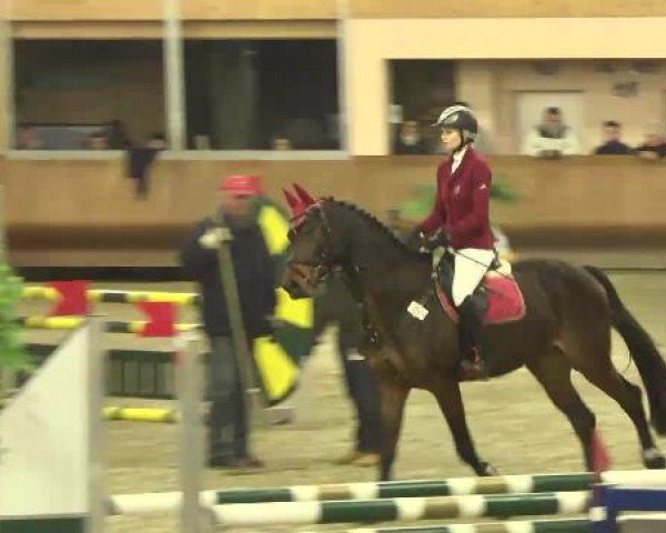 Late Entry Springen Dettingen 2015