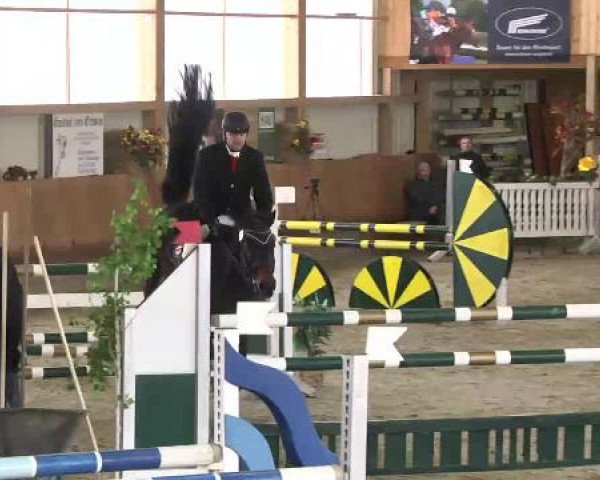 Late Entry Springen Dettingen 2015