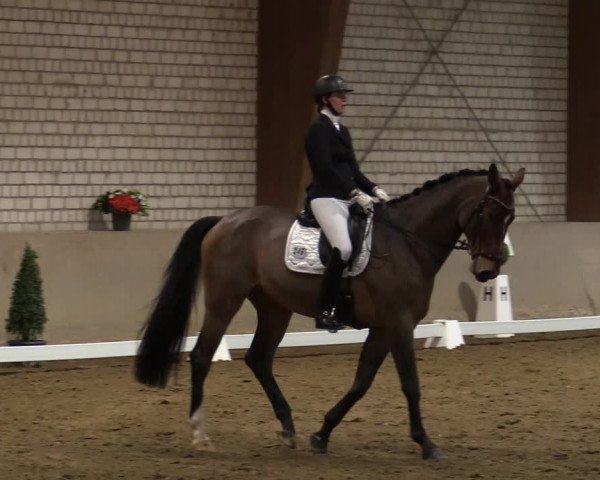 Reitturnier Kamen 2021