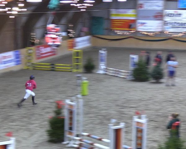 Reitturnier Leck 2021