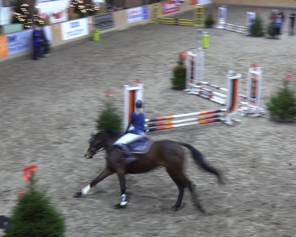 Reitturnier Leck 2021