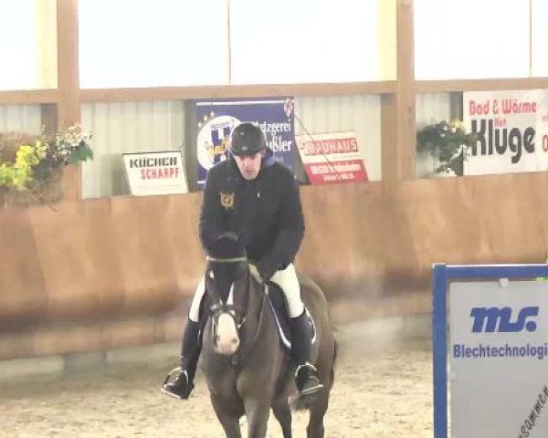 Springturnier Dettingen Late Entry 2015