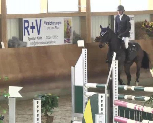 Springturnier Dettingen Late Entry 2015