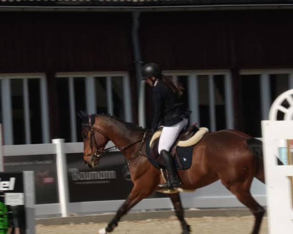 Reitturnier Memmingen 2026