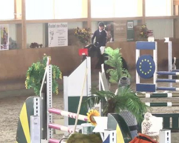 Springturnier Dettingen Late Entry 2015