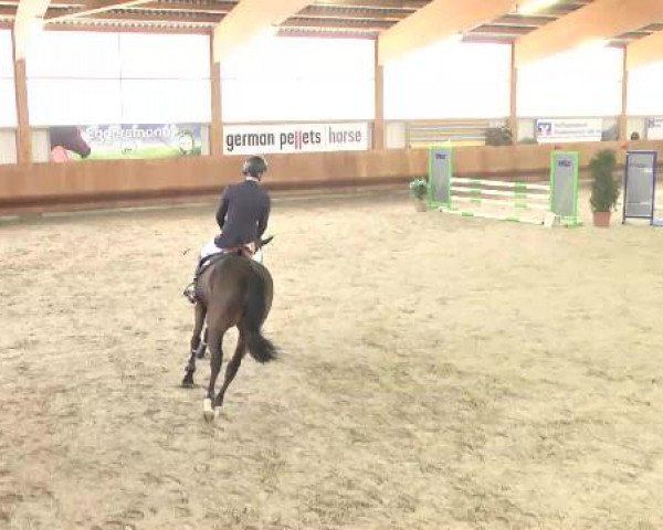 Springturnier Dettingen Late Entry 2015