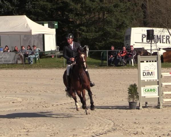 Equestrian Show Pietzpuhl 2026