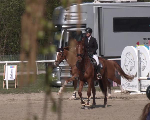 Rideturnering Margarethen am Moos 2026