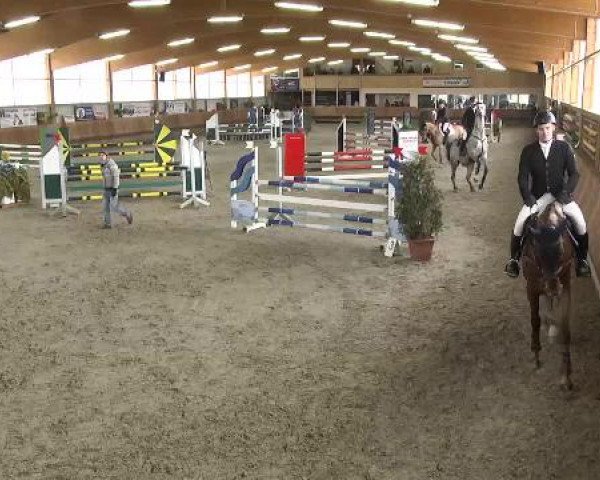 Springturnier Dettingen Late Entry 2015