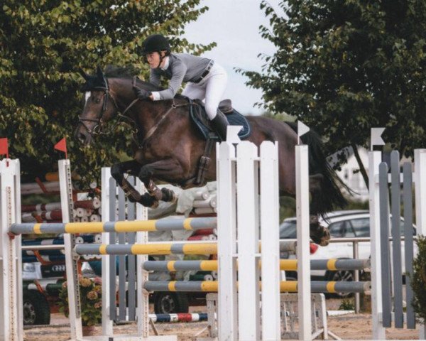 jumper Capucino 7 (Rhinelander, 2009, from Conteur)