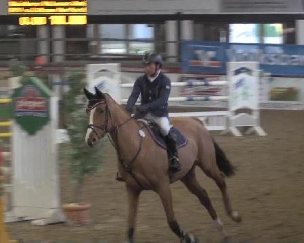 Hallenturnier Vlotho-Exter 2015
