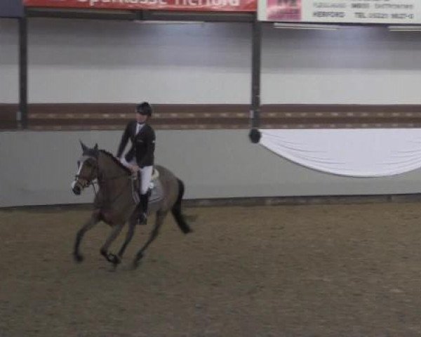 Hallenturnier Vlotho-Exter 2015
