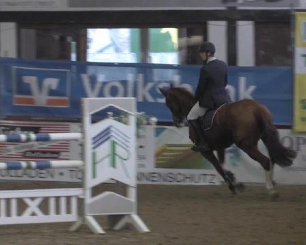 Hallenturnier Vlotho-Exter 2015