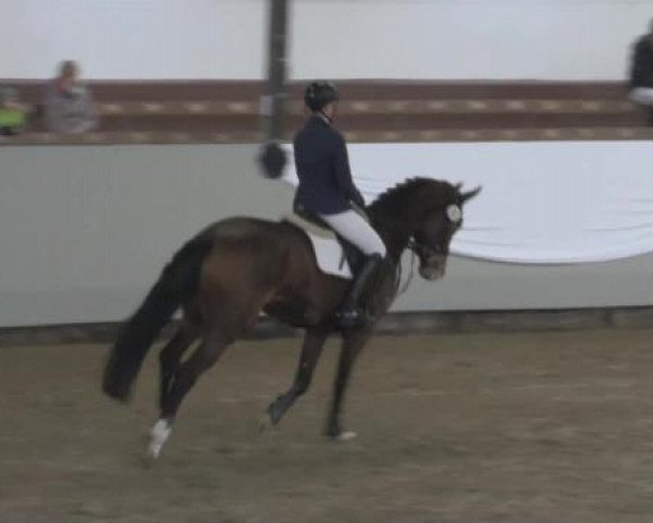 Hallenturnier Vlotho-Exter 2015
