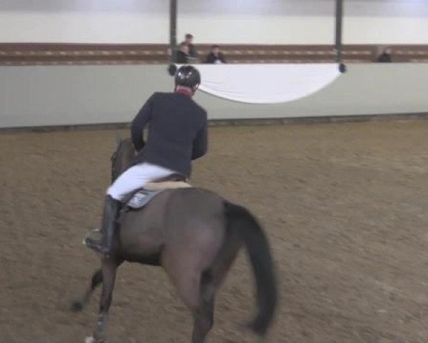 Hallenturnier Vlotho-Exter 2015