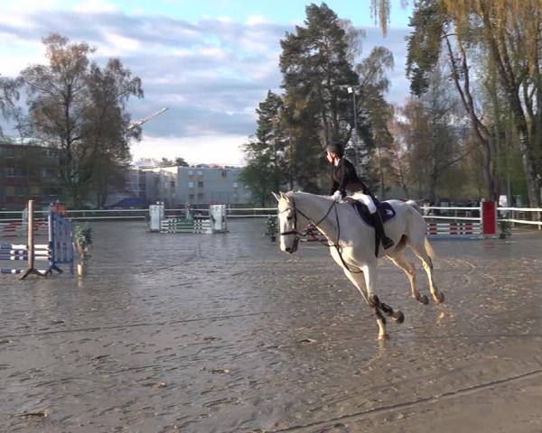 Tournoi Équestre Bregenz 2026