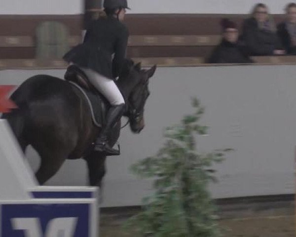Hallenturnier Vlotho-Exter 2015