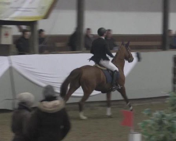 Hallenturnier Vlotho-Exter 2015