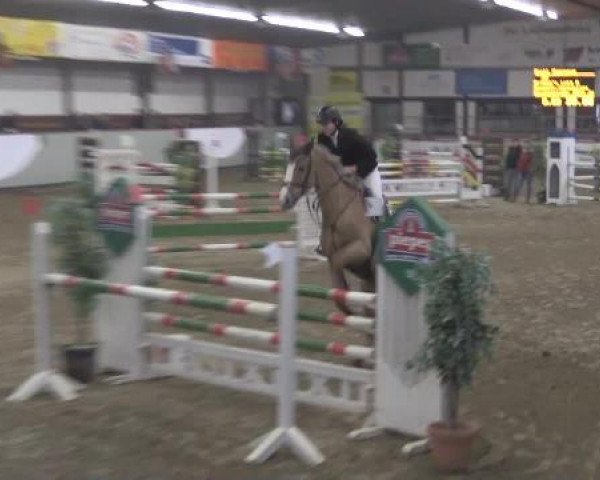 Hallenturnier Vlotho-Exter 2015