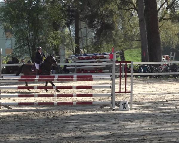 Equestrian Show Bregenz 2026