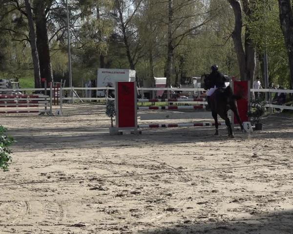 Equestrian Show Bregenz 2026