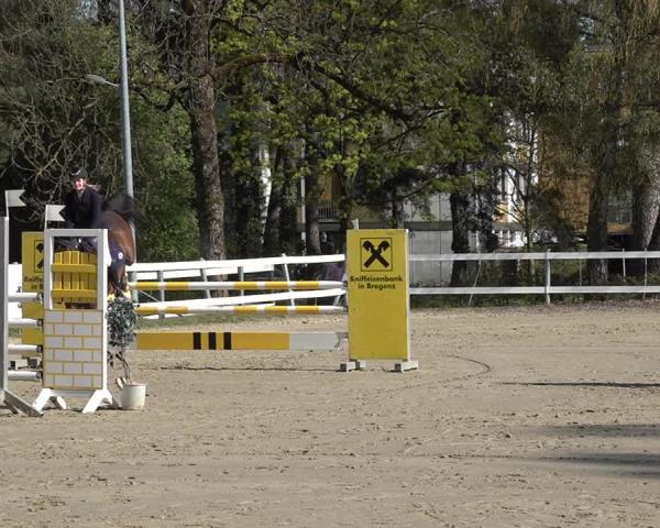 Torneo Equestre Bregenz 2026