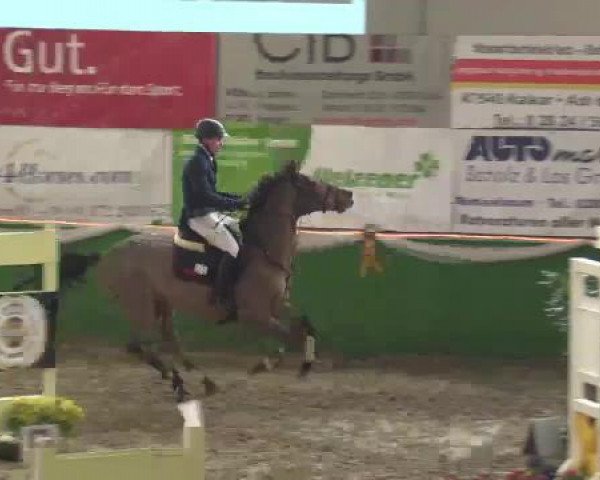 Keppelner Springfestival 2015