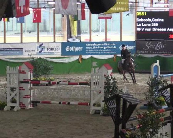Keppelner Springfestival 2015