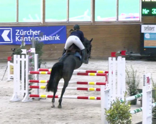 Reitturnier Rüti 2021