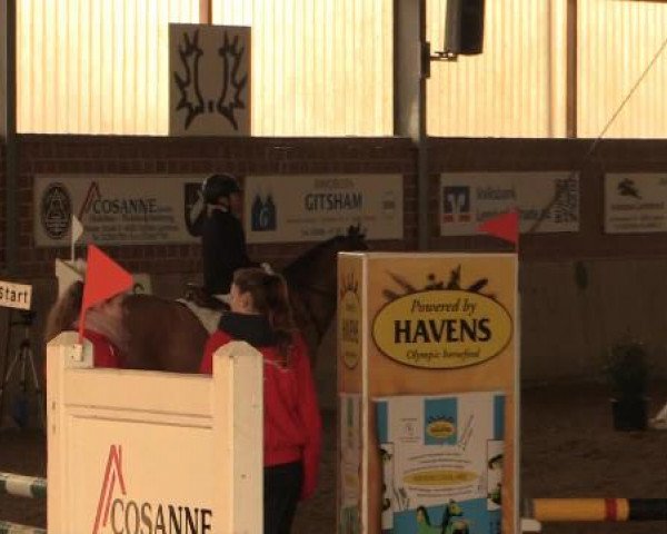17. Hallen-Reit- und Springturnier Lembeck