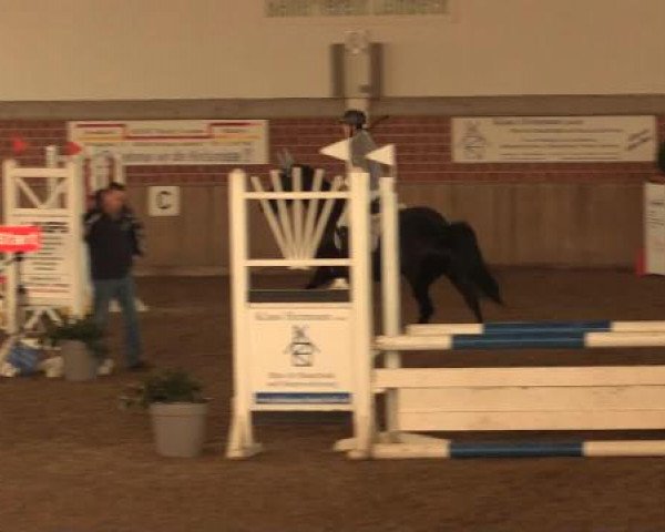 17. Hallen-Reit- und Springturnier Lembeck