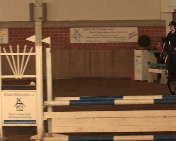 17. Hallen-Reit- und Springturnier Lembeck